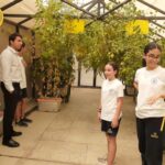 مدرسة مانشستر الدولية التجمع الأول – Manchester International School – MS